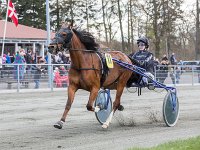 agat silk med therese mikkelsen 2016 TKA 5167