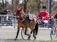 akleai med simone lindevang 2016 TKA 5302