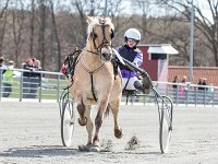 aladinmed clare v berling 2016 TKA 5311