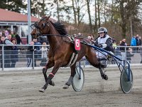 alfas emeraud med josefine k hansen 2016 TKA 5218