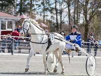 hesteklewa blanche med camilla kaas 2016 TKA 5300