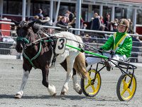 hjortagers trisse med oliva munk 2016 TKA 5289
