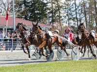 lille du med john gommans 2016 TKA 5366