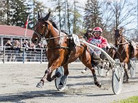 lille du med john gommans 2016 TKA 5374