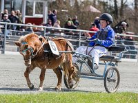 oliver med mads k mogensen 2016 TKA 5294