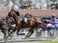 ouzo ned kenn christoffersen 2016TKA 5337