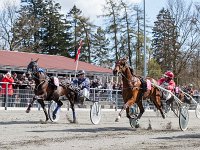 picasso jetset med john gommans 2016 TKA 5399
