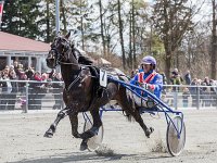 rommy prestige med kenn christoffersen 2016 TKA 5259