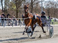 san siro med john mikkelsen 2016 TKA 5345