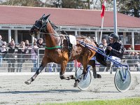 speedu spring med mikkel stub 2016 TKA 5369