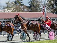 speedy globe med michael skovmose 2016 TKA 5342