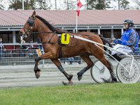 whitney frisco med flemming vang 2016 TKA 5161