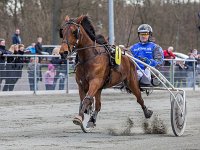 whitney frisco med flemming vang 2016 TKA 5168
