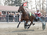 Area med frank mikkelsen 1 april 2017 TKA 3483 : Bornholms brandpark, 1 april 2017, Torben Ager, Travfoto Bornholm, Area med frank mikkelsen 1 april 2017
