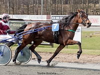 Bornholm nu med frank Mikkelsen 1 april 2017 TKA 3443 : Bornholms brandpark, 1 april 2017, Torben Ager, Travfoto Bornholm, Bornholm nu med frank Mikkelsen 1 april 2017
