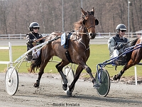 Call med Baunely med Laura Pedersen 1 april 2017 TKA 3438 : Bornholms brandpark, 1 april 2017, Torben Ager, Travfoto Bornholm, Call med Baunely med Laura Pedersen 1 april 2017
