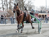 Paywill med Laura pedersen 1 april 2017 TKA 3592 : Bornholms brandpark, 1 april 2017, Torben Ager, Travfoto Bornholm, Paywill med Laura pedersen 1 april 2017