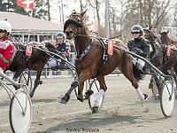 Try my cheif med laura pedersen 1 april 2017 TKA 3460 : Bornholms brandpark, 1 april 2017, Torben Ager, Travfoto Bornholm, Try my cheif med laura pedersen 1 april 2017