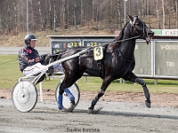 Woody hoyt med Martin Sjøholm Jensen 1 april 2017 TKA 3409 : Bornholms brandpark, 1 april 2017, Torben Ager, Travfoto Bornholm, Woody hoyt, Martin Sjøholm Jensen 1 april 2017