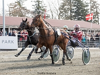 san siro med Frank mikkelsen 1 april 2017 TKA 3539 : Bornholms brandpark, 1 april 2017, Torben Ager, Travfoto Bornholm, san siro med Frank mikkelsen 1 april 2017