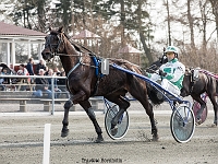 goal tooma med michael dahl pedersen 1 april 2017 TKA 3526 : Bornholms brandpark, 1 april 2017, Torben Ager, Travfoto Bornholm, goal tooma med michael dahl pedersen 1 april 2017