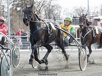limonade l med thomas kaas 1 april 2017 TKA 3555 : Bornholms brandpark, 1 april 2017, Torben Ager, Travfoto Bornholm, limonade l med thomas kaas 1 april 2017