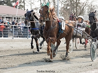 pegasus gk med kim mortensen 1 april 2017 TKA 3513 : Bornholms brandpark, 1 april 2017, Torben Ager, Travfoto Bornholm, pegasus gk med kim mortensen 1 april 2017