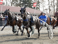 raul epice med mette berg thiesen 1 april 2017 TKA 3516 : Bornholms brandpark, 1 april 2017, Torben Ager, Travfoto Bornholm, raul epice med mette berg thiesen 1 april 2017