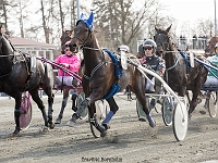rubin sus med martin sjøholm jensen 1 april 2017 TKA 3530 : Bornholms brandpark, 1 april 2017, Torben Ager, Travfoto Bornholm, rubin sus med martin sjøholm jensen 1 april 2017