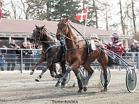 san siro med Frank mikkelsen 1 april 2017 TKA 3537 : Bornholms brandpark, 1 april 2017, Torben Ager, Travfoto Bornholm, san siro med Frank mikkelsen 1 april 2017