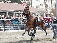 san siro med frank mikkelsen 1 april 2017 TKA 3532 : Bornholms brandpark, 1 april 2017, Torben Ager, Travfoto Bornholm, san siro med frank mikkelsen 1 april 2017