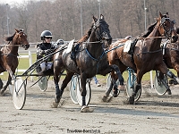shadow tinghøj med laura pedersen - 1 april 2017 TKA 3413 : Bornholms brandpark, 1 april 2017, Torben Ager, Travfoto Bornholm