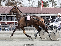 skovtrolden med stig b rasmussen 1 april 2017 TKA 3576 : Bornholms brandpark, 1 april 2017, Torben Ager, Travfoto Bornholm, skovtrolden med stig b rasmussen 1 april 2017