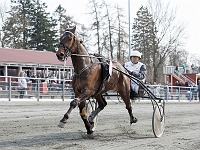 skovtrolden med stig b rasmussen 1 april 2017 TKA 3589 : Bornholms brandpark, 1 april 2017, Torben Ager, Travfoto Bornholm, skovtrolden med stig b rasmussen 1 april 2017