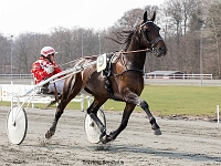 spot on la marc med ole møller 1 april 2017 TKA 3398 : Bornholms brandpark, 1 april 2017, Torben Ager, Travfoto Bornholm, spot on la marc med ole møller 1 april 2017