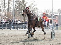 suset bork med michael skovmose 1 april 2017 TKA 3480 : Bornholms brandpark, 1 april 2017, Torben Ager, Travfoto Bornholm, suset bork med michael skovmose 1 april 2017