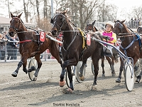 toke med ole bager 1 april 2017 TKA 3462 : Bornholms brandpark, 1 april 2017, Torben Ager, Travfoto Bornholm, toke med ole bager 1 april 2017