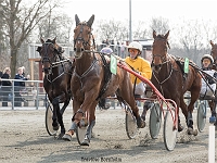 troika ulvholm med leif nyboe 1 april 2017 TKA 3476 : Bornholms brandpark, 1 april 2017, Torben Ager, Travfoto Bornholm, troika ulvholm med leif nyboe 1 april 2017
