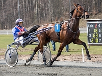 wilbur med Ken Christoffersen 1 april 2017 TKA 3445 : Bornholms brandpark, 1 april 2017, Torben Ager, Travfoto Bornholm, wilbur med Ken Christoffersen 1 april 2017