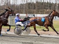 wilbur med Ken Christoffersen 1 april 2017 TKA 3449 : Bornholms brandpark, 1 april 2017, Torben Ager, Travfoto Bornholm, wilbur med Ken Christoffersen 1 april 2017